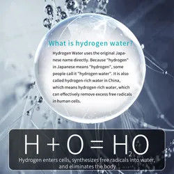 VST Hot And Cold Water Dispenser Bioenergetic Filter Desktop RO Water Dispenser